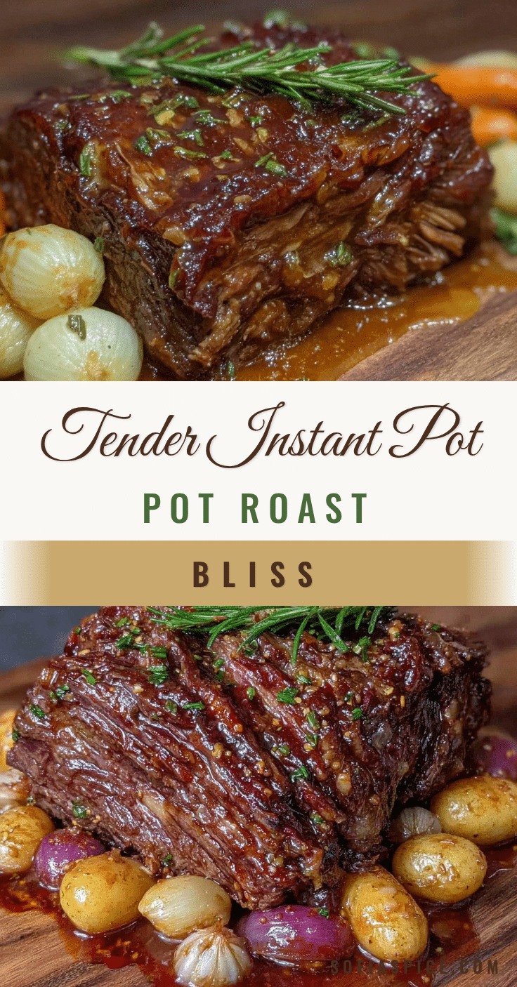instant pot pot roast recipe