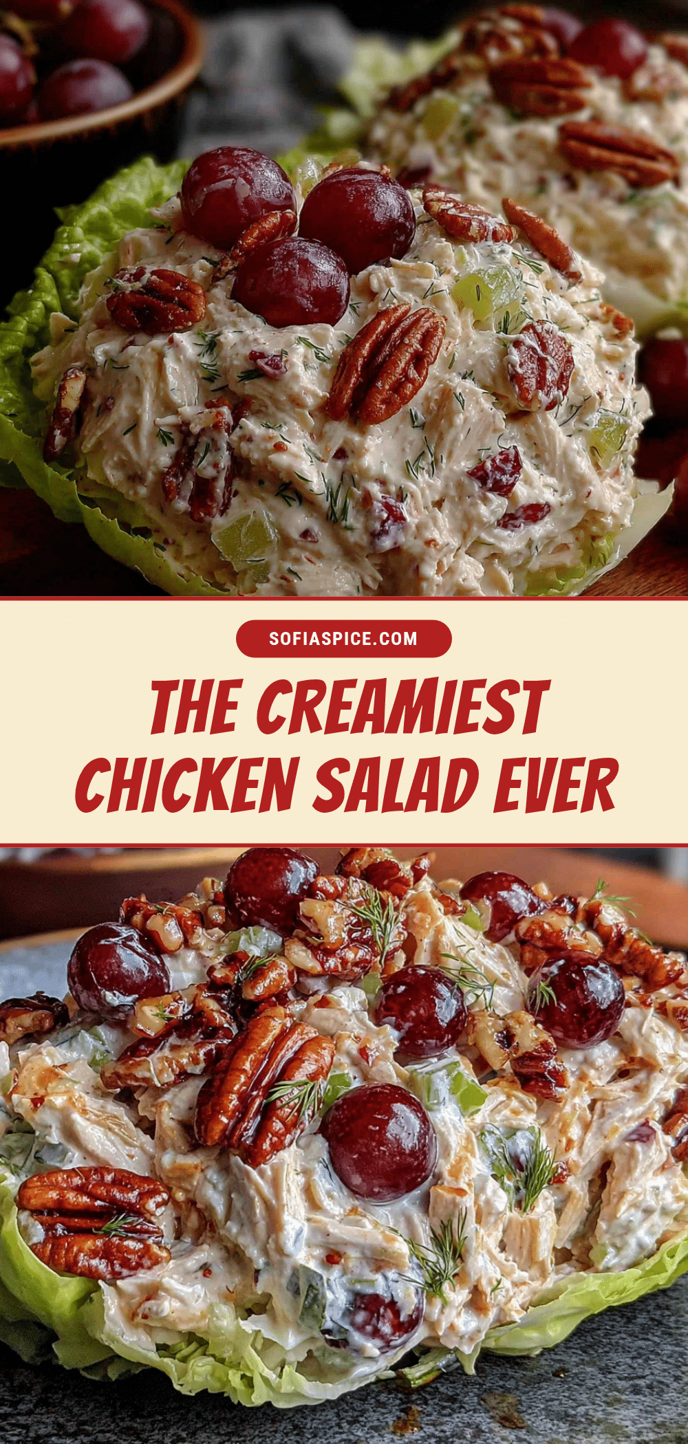 creamy chicken salad with grapes and pecans recipe